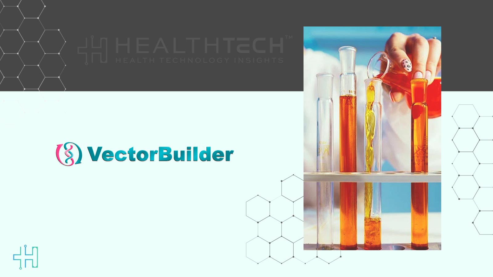 VectorBuilder Powers FDA IND Approval