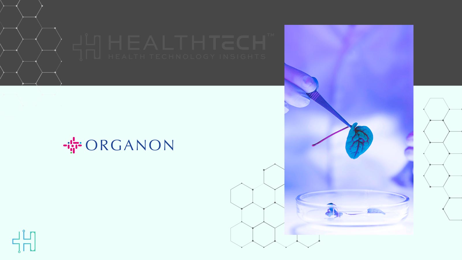 EU Approves Henlius, Organon Biosimilars to PROLIA, XGEVA