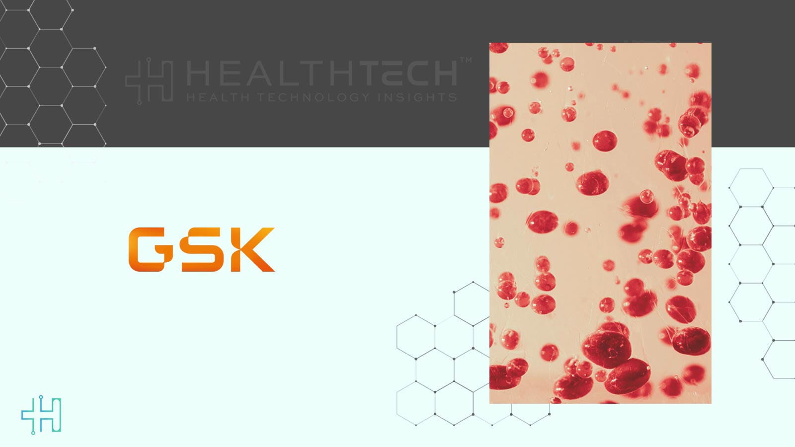 Blenrep Approved by US FDA for Use in Treatment of Relapsed Multiple Myeloma