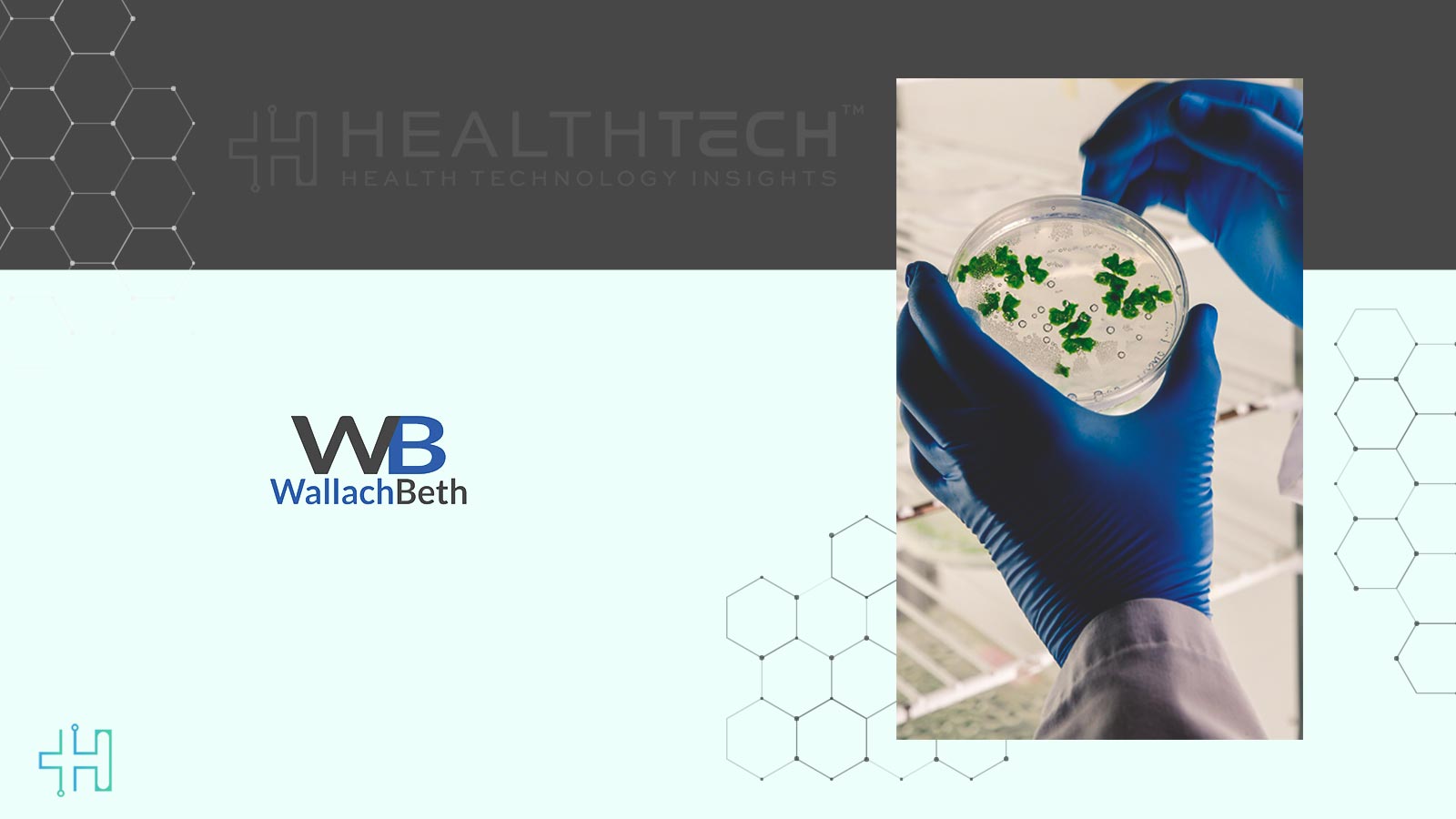 WallachBeth Capital Announces Closing of bioAffinity Technologies Public Offering for $4.8 million