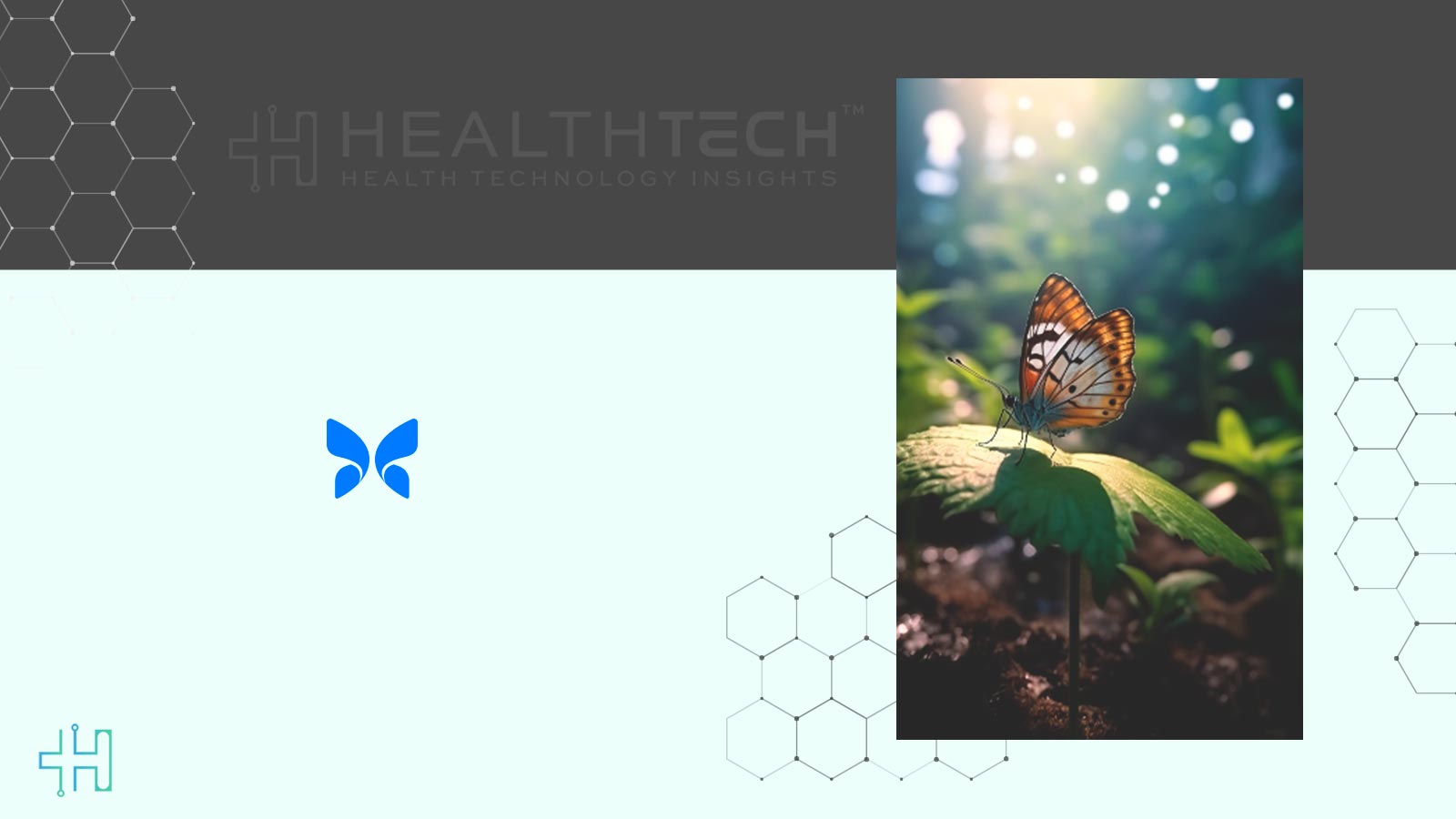 Butterfly Network Extends Proprietary 3D Imaging to Developers